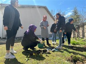 Fidanlar ağaca, ağaçlar ormana...