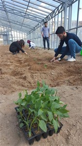 Bitkisel ve Hayvansal Üretim Bölümü Sera