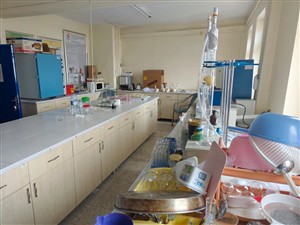 Gıda İşleme Bölümü Laboratuvarlar
