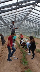 Bitkisel ve Hayvansal Üretim Bölümü Sera