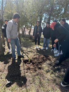 Fidanlar ağaca, ağaçlar ormana...