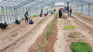 Bitkisel ve Hayvansal Üretim Bölümü Sera