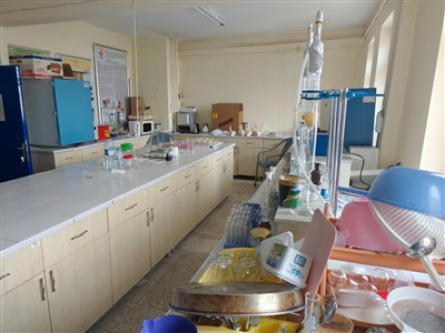 Gıda İşleme Bölümü Laboratuvarlar